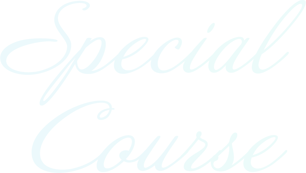 Special Course